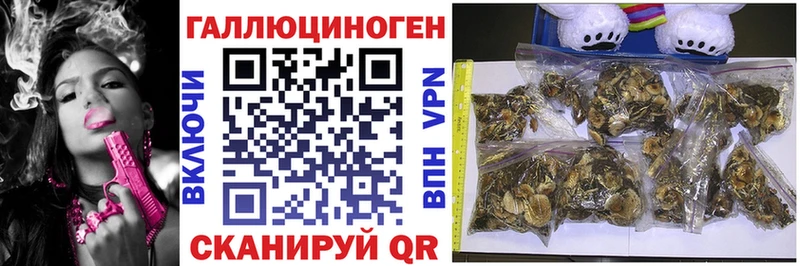 это Telegram  Петухово  Галлюциногенные грибы мицелий  цена  
