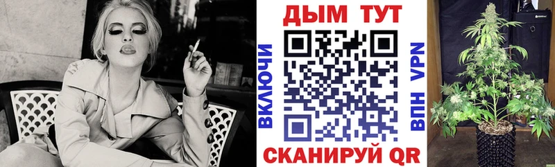 Бошки Шишки ГИДРОПОН  Петухово 